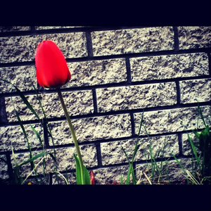 Be Strong Friend