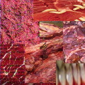 Flesh Flowers Dream to Bloom