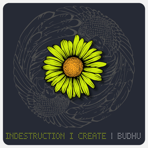 Indestruction I Create