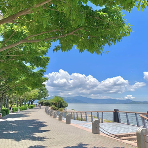 你是夏日第一口橘子味汽水