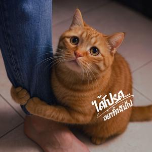 ได้โปรดอย่าทิ้งฉันไป