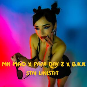 Stai linistit (feat. MK MAO)