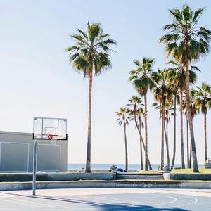 promise（诺言）（翻自 L.）