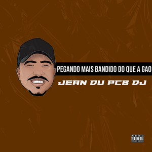 Pegando Mais Bandido do Que a Gao