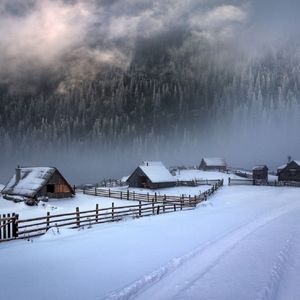 冬天的雪夏天的花