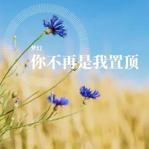 你不再是我置顶（翻自 阿州）