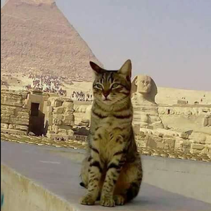 Just Egypt（IV. GROOVES remix）