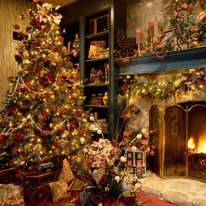 圣诞趴（翻自 Radio Edit）