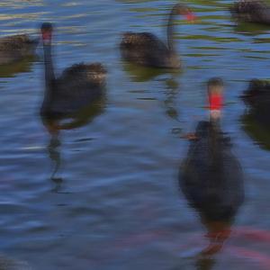 up (翻自sing street）