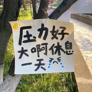 天灰（DJ版）