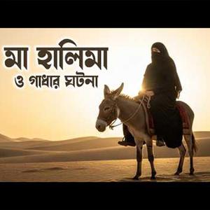 মা হালিমা ও গাধার অলৌকিক ঘটনা