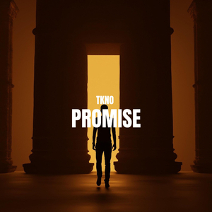 Promise