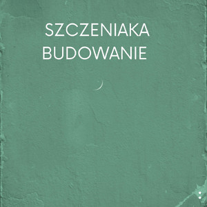 Szczeniaka Budowanie