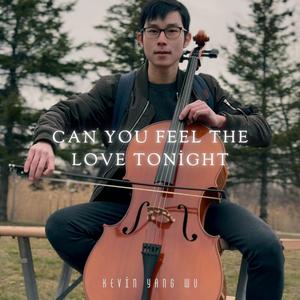 Can You Feel the Love Tonight