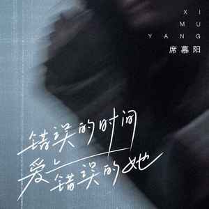 错误的时间爱上错误的她 (DJ沈念版)