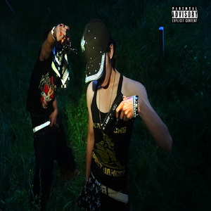 QINGHAI GLO(青海glo）