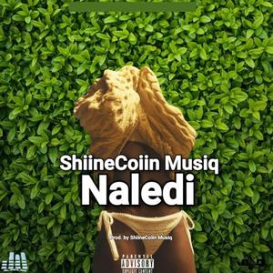 Naledi