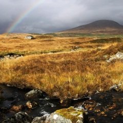 爱的誓言早已过期 (2.0)