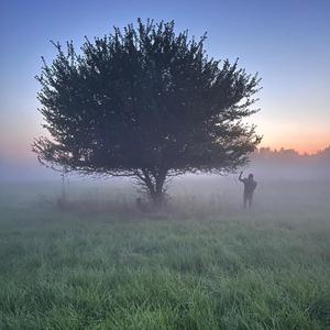 Bialowieza's secret (Original Motion Picture Soundstrak Of "Bialowieza Léo Urban ")