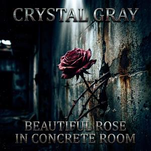 Beautiful Rose In Concrete Room