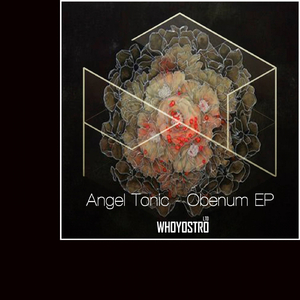 Shakey (Original Mix)