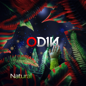 A Dónde Vayas Quiero Estar