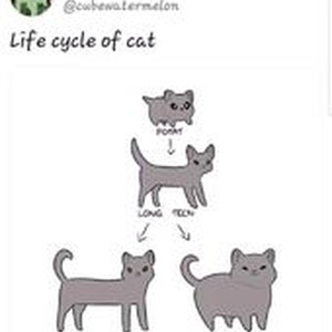 Heartbreaker (slowed)