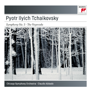 Symphony No. 5 in E Minor, Op. 64, TH 29:I. Andante - Allegro con anima