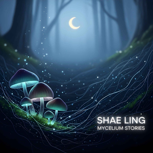 Mycelium Stories