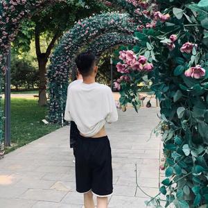 温柔只给意中人