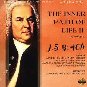 恰空舞曲（选自《D小调第二小提琴无伴奏组曲》 BWV 1004）（Ciaccona, from Partita No.2 for Solo Violin in D Minor, BWV 1004）