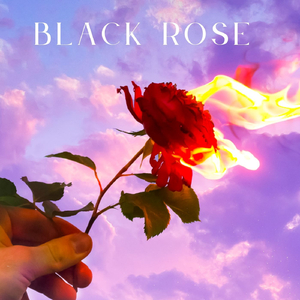 Black Rose