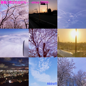 春風に吹かれながら・・・ -since 2000-