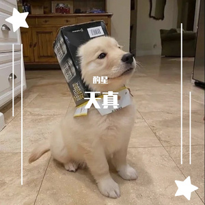 FormatFactoryPart3(1)