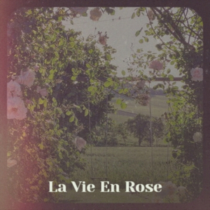 Boat Pull Out Bahama Mama