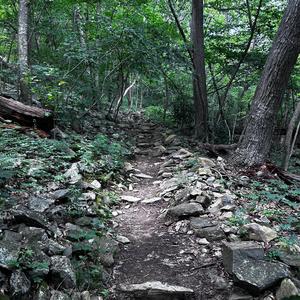 relapsed again (feat. forestwlkr)