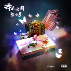 我不晓得我要啥子