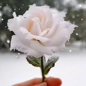 哦!祢的爱-mixed chorus