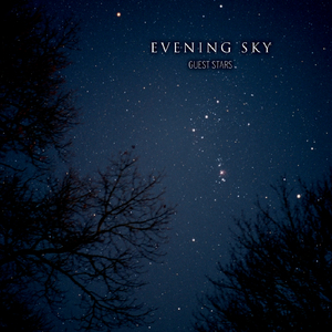 Somebody I Used to Know