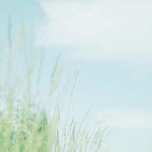 静下心来写作业