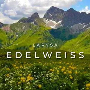 Edelweiss