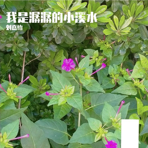 我是潺潺的小溪水(原唱 AI小夜) 伴奏