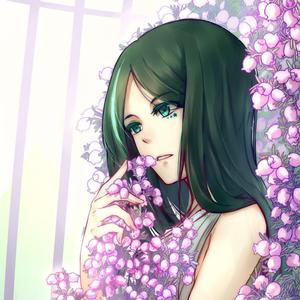 春に一番近い街 / 离春天最近的街道