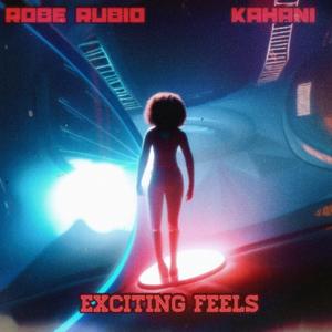 Exciting Feels (feat. Anomalien)