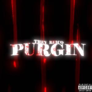 Purgin