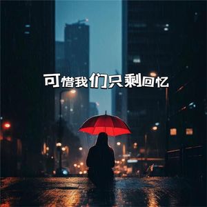 可惜我们只剩回忆