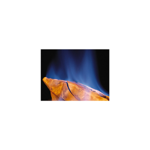 Psyllium & Stress Free (Original Mix)