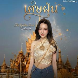 เศษฝุ่น