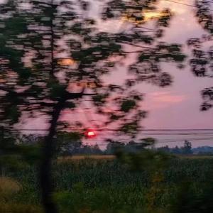 你说你不懂爱我有啥子法