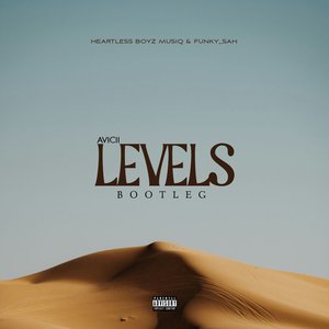 Avicii Levels Bootleg
